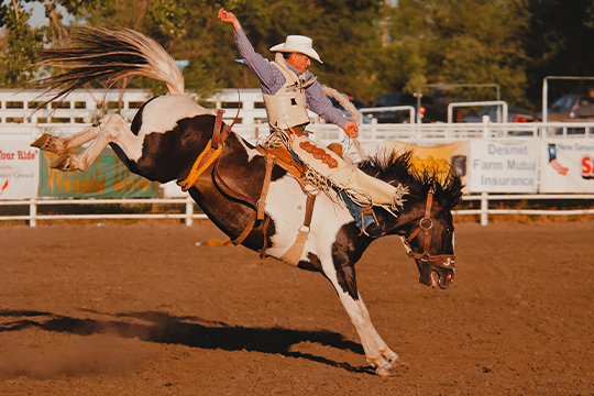 Sitting Bull Stampede Rodeo