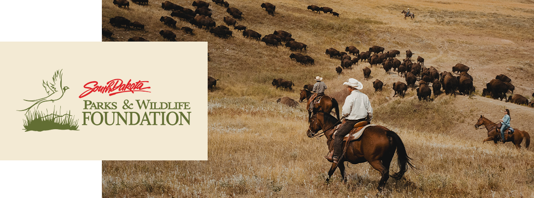 Win a Weekend Rendezvous in Custer State Park