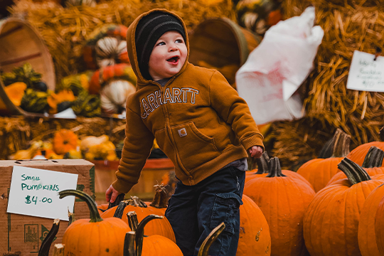 Great Downtown Pumpkin Festival