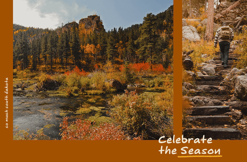 Celebrate the Season