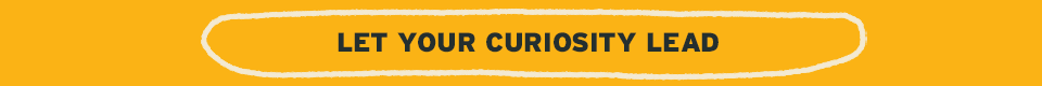 Let Your Curiosity Lead