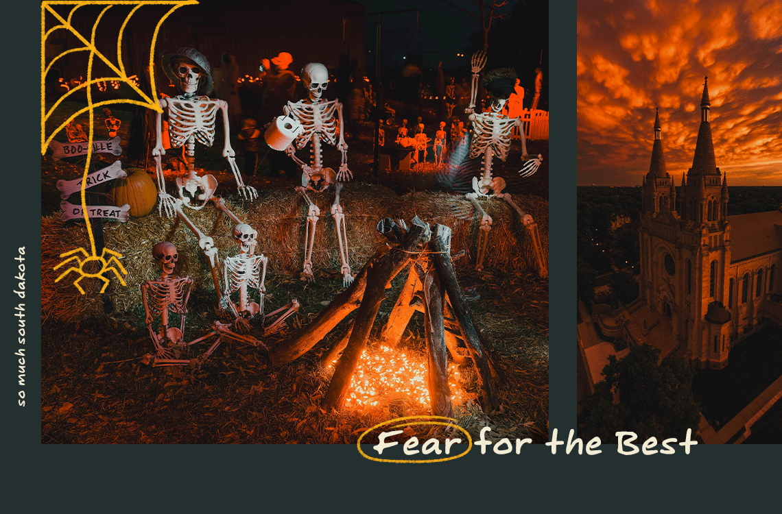 Fear for the Best