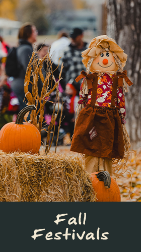 Fall Festivals