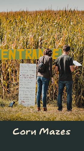 Corn Mazes