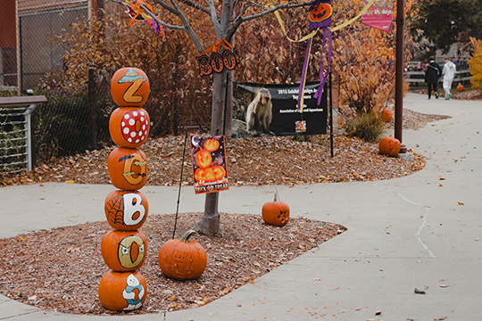 Zoobo