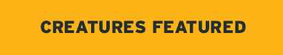 Creatures Featured