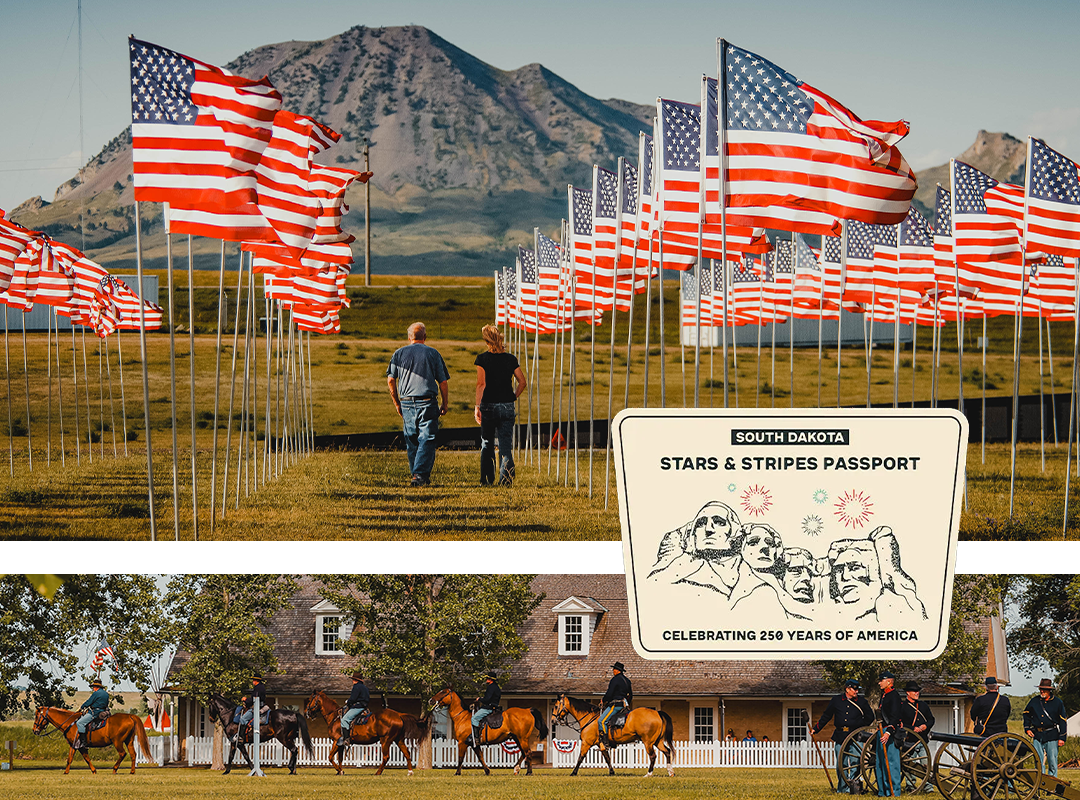 Stars & Stripes Passport