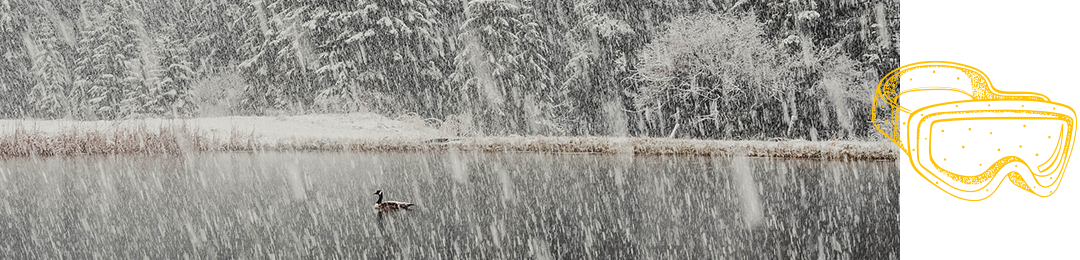 Winter in South Dakota