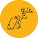 Jackrabbit