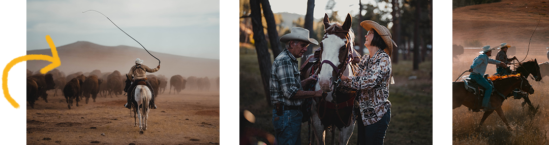 Buffalo Roundup Collage
