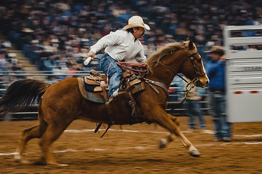 Black Hills Stock Show & Rodeo
