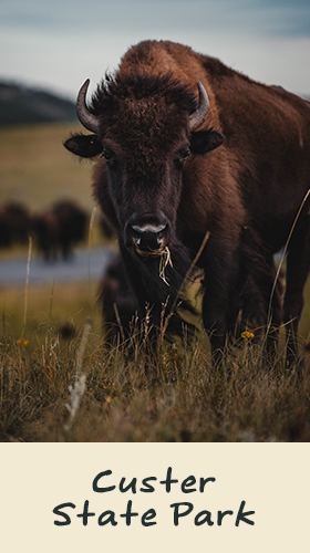 Custer State Park
