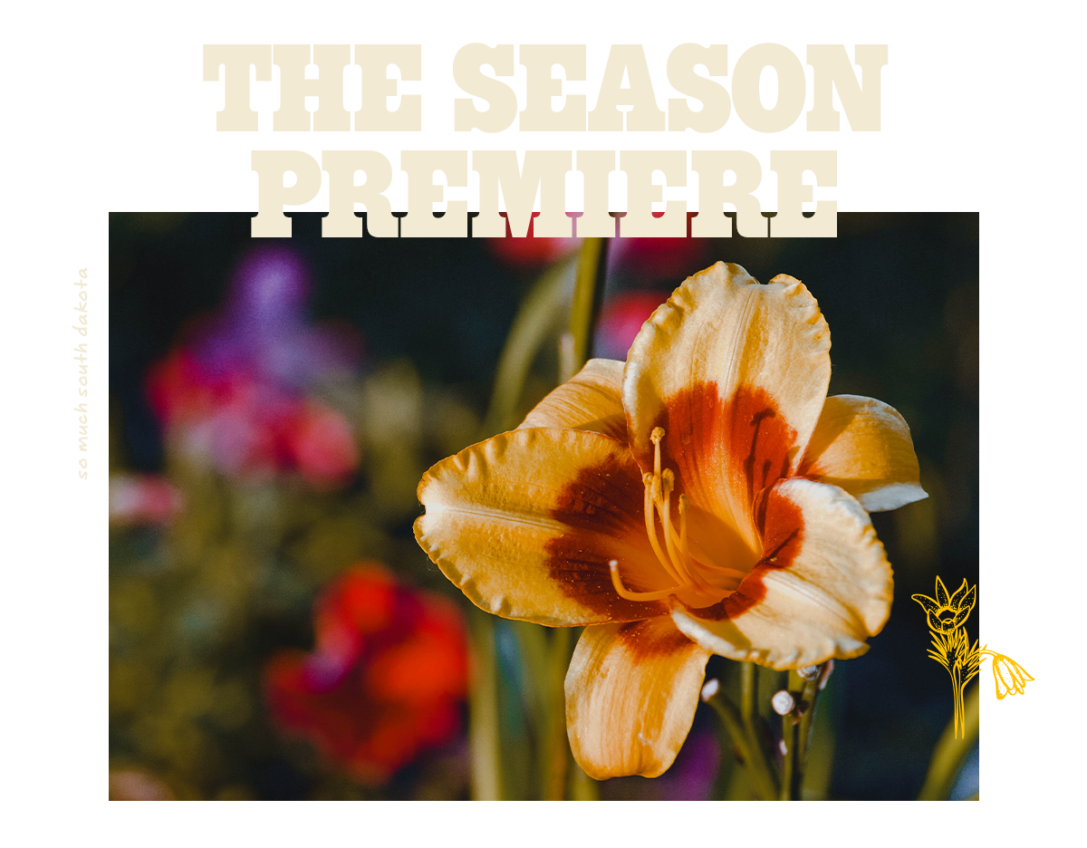 The Season Premiere