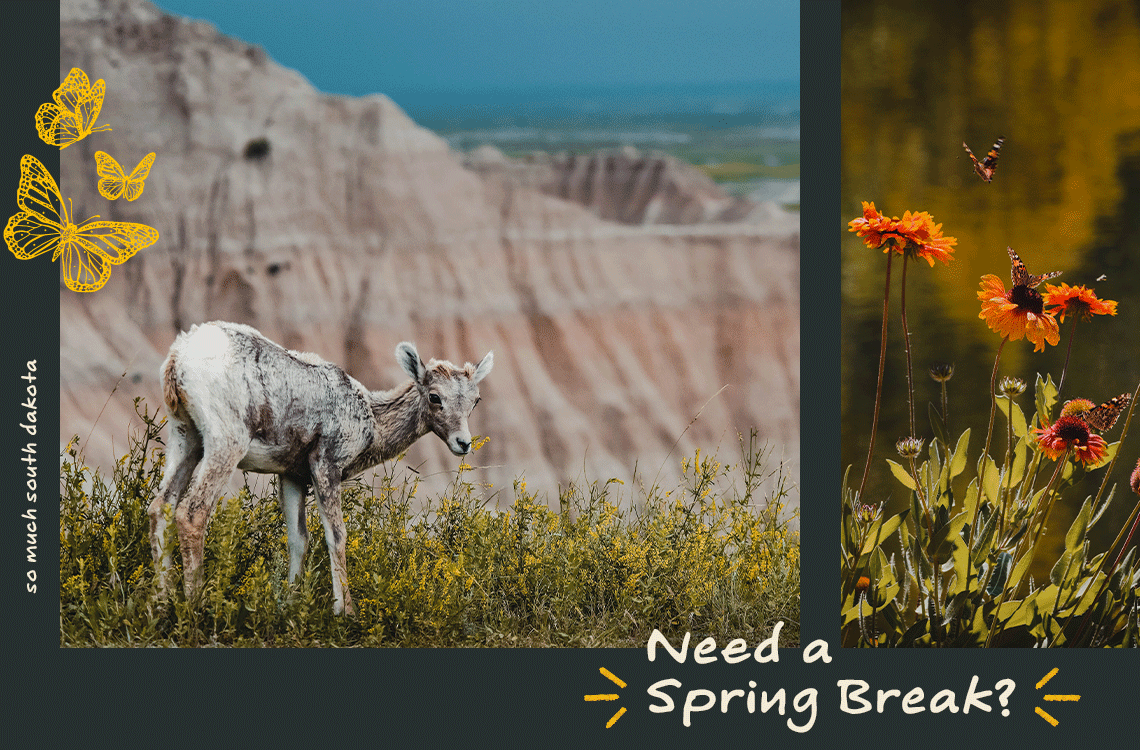 Need a Spring Break?