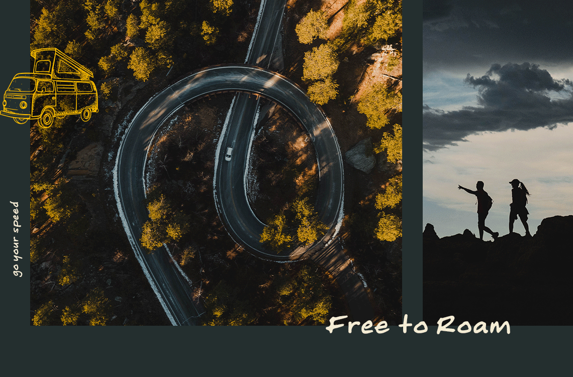 Free to Roam