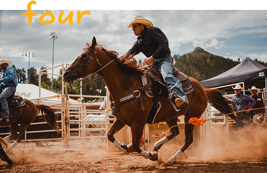 The Cowboy