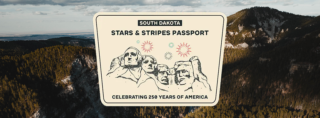 Party in the USA