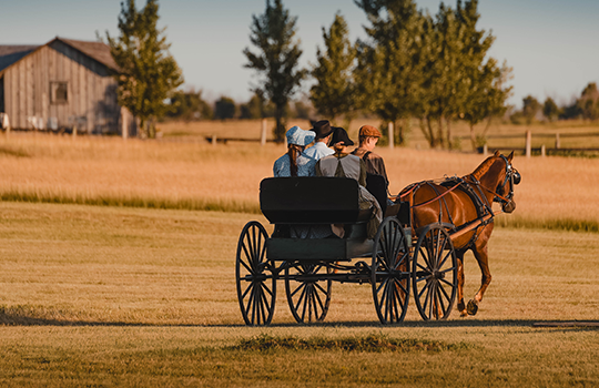 The Ingalls Homstead