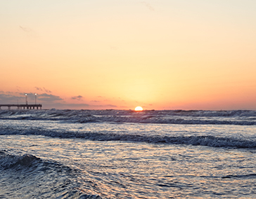 The True Texas Coast