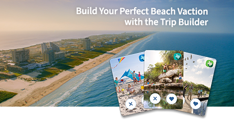 Discover fun for the whole family with our Travel Guide.