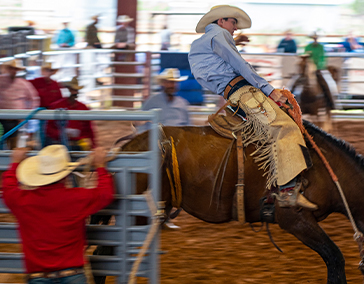 Rodeo’s Past and Present