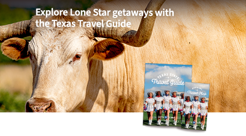 Explore Lonestar getaways with the Texas Travel Guide.