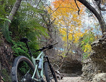 Hill Country Fall Finds