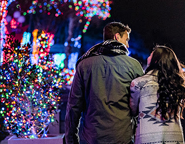 See the dazzling <br />lights of Texas
