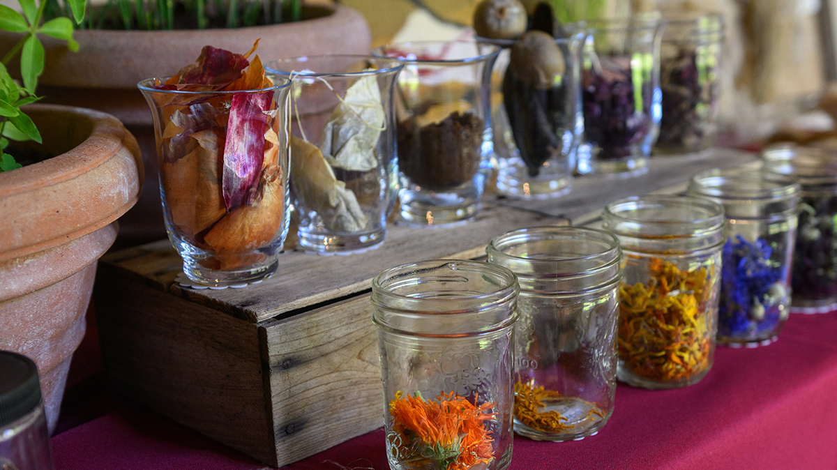 Workshop: Love Potions