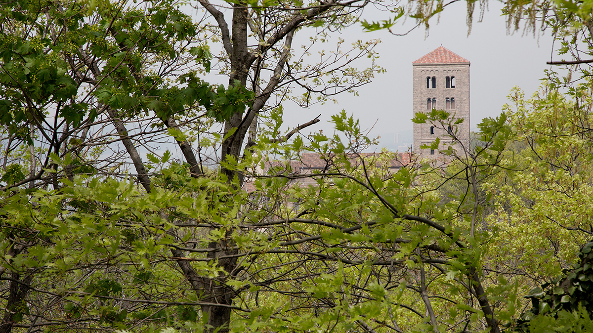 Birding Tour of The Met Cloisters and Fort Tryon&nbsp;Park