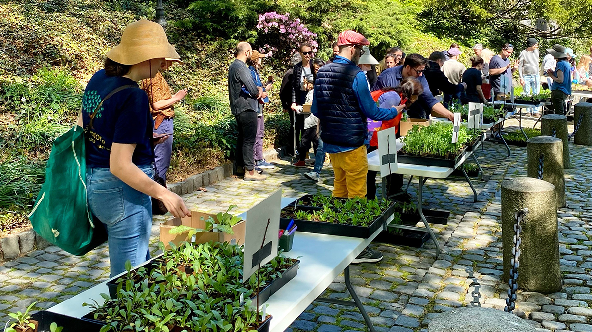 The Met Cloisters Plant Sale
