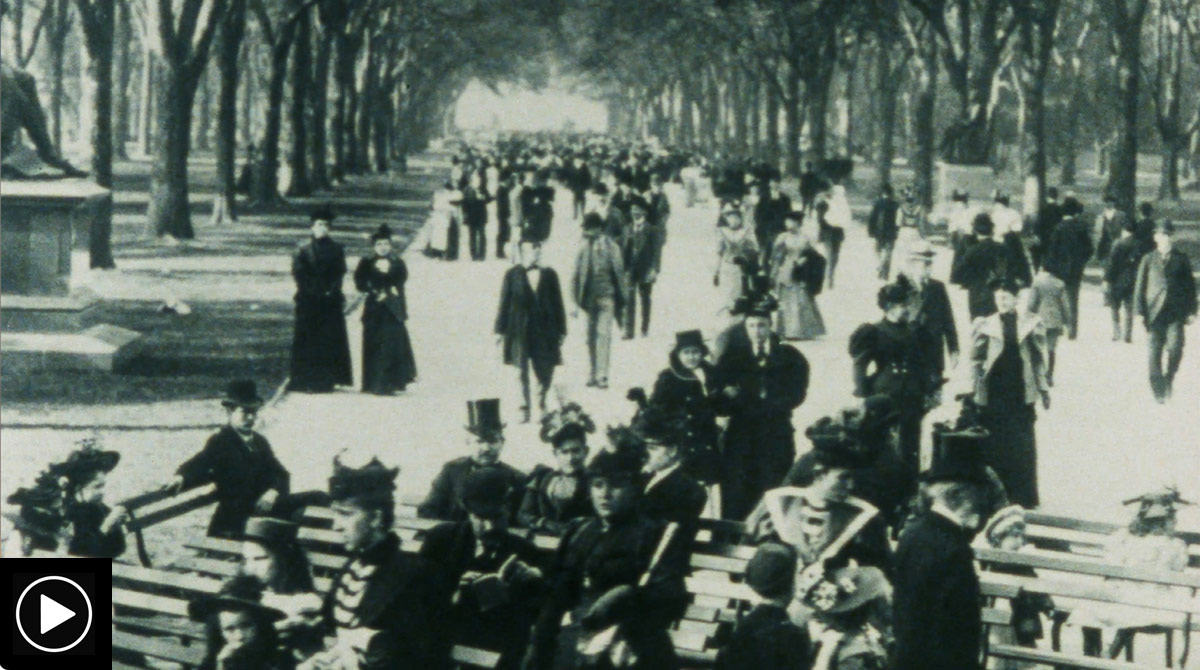 From the Vaults: Olmsted and Central Park