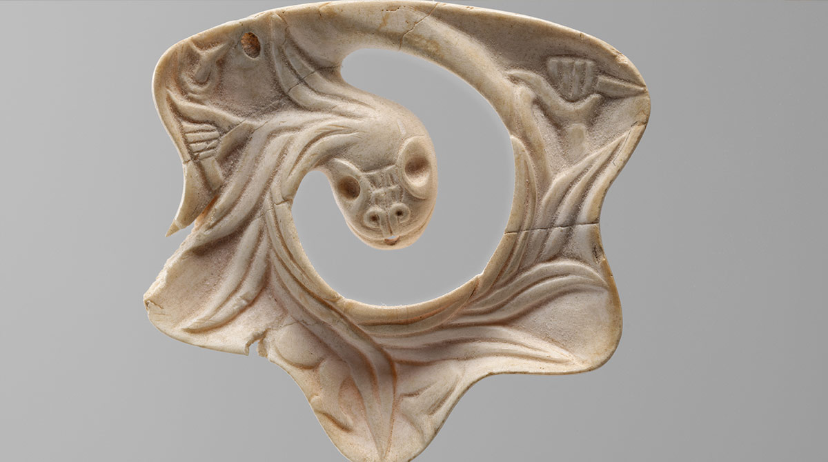 The Use of Mollusk Shells