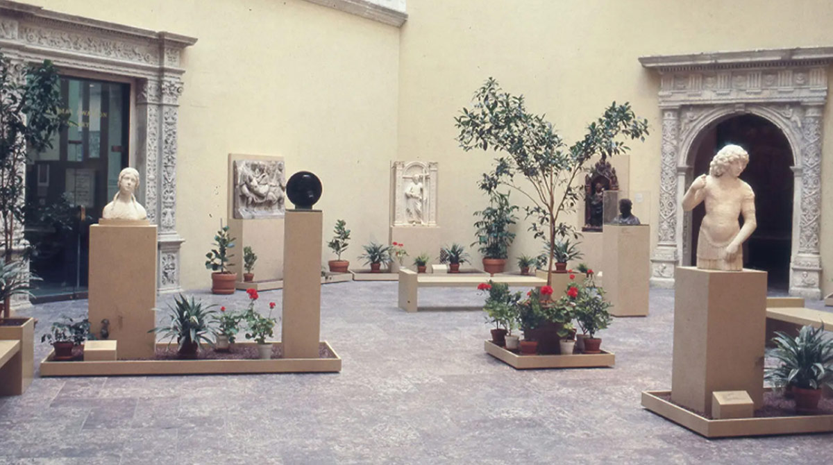 Plants in The Met