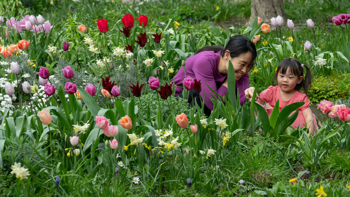 Garden Festival: Wild Imaginations