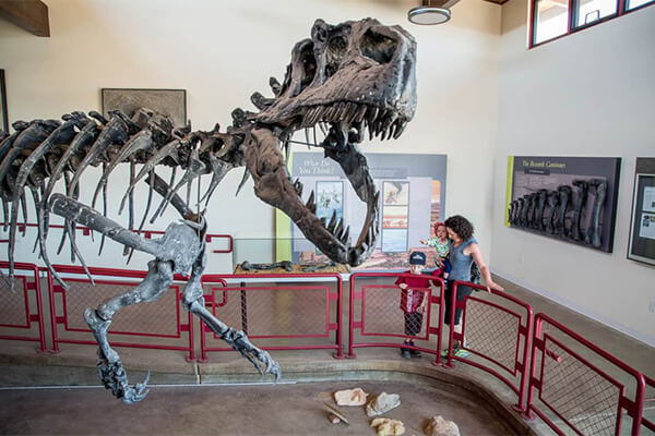 cleveland-lloyd dinosaur quarry