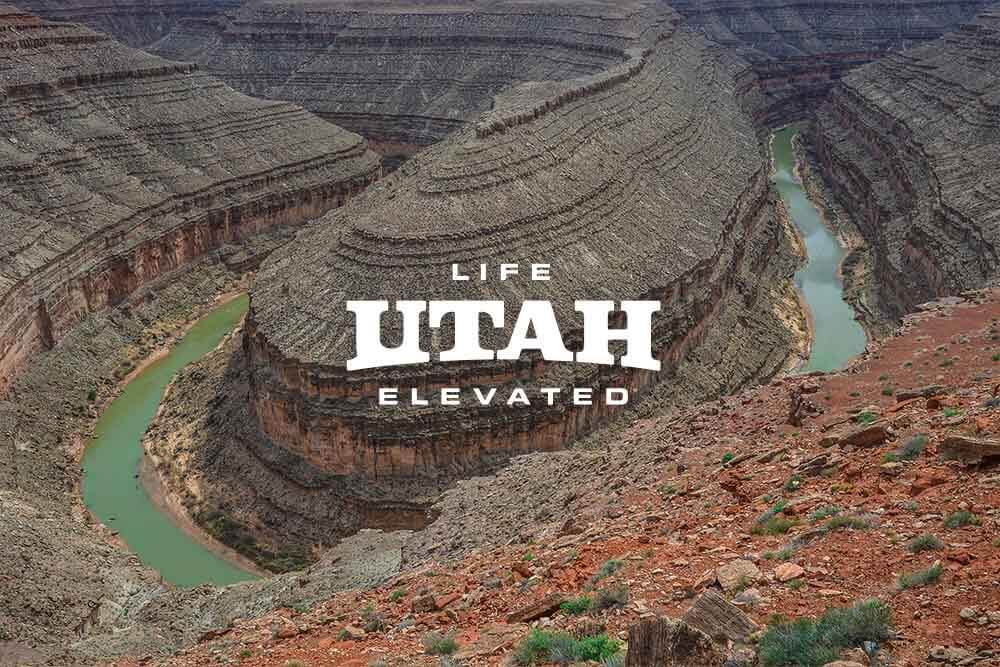 life elevated goosenecks