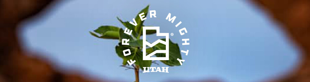 forever mighty tree sapling
