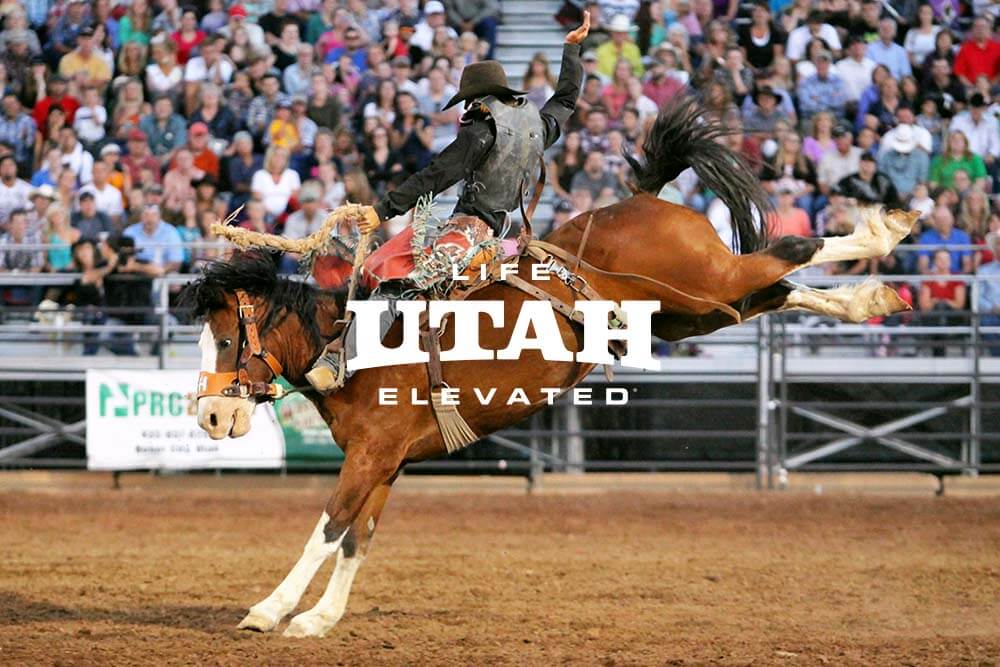 a cowboy on a bucking horse at a rodeo