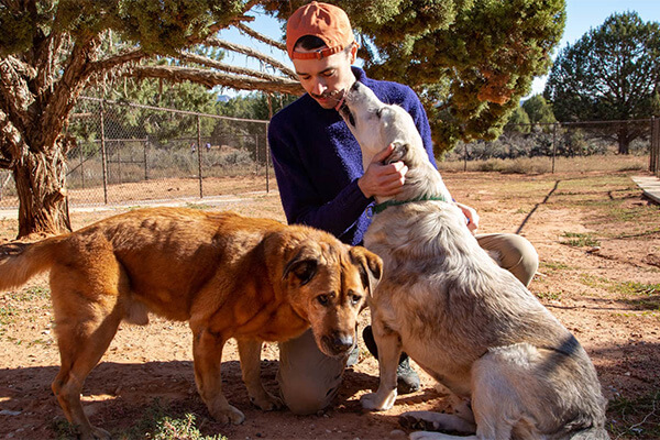 a man with two dogs at best friends animal sanctuary in utah
