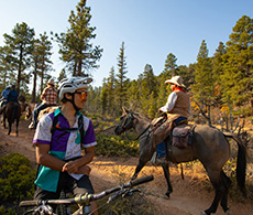 a group of people riding horses on a trail