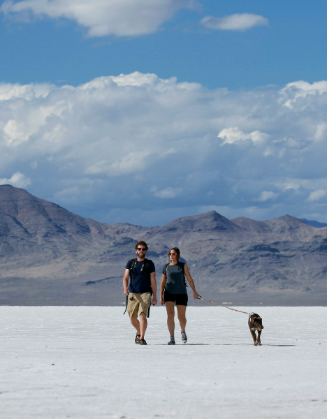 a man and a woman walking a dog in the desert