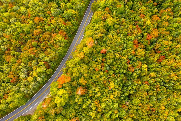 A road winding through a forest seen in an aerial image with fall colors just beginning to touch the forests.&nbsp;
