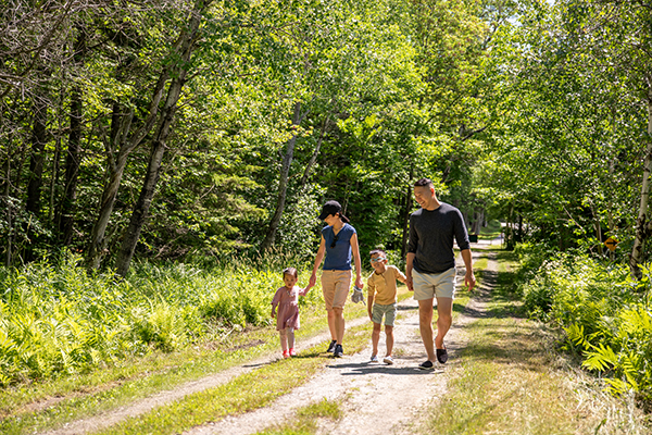 Four people of varying ages walk toward the camera on a trail outside in the summer.&nbsp;
