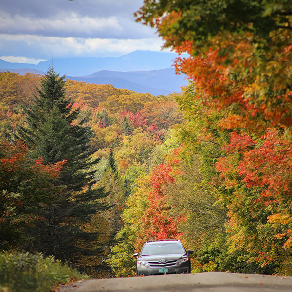 A car drives toward the camera on a dirt road with trees covered in bright red, orange, and yellow leaves on the right side.&nbsp;
