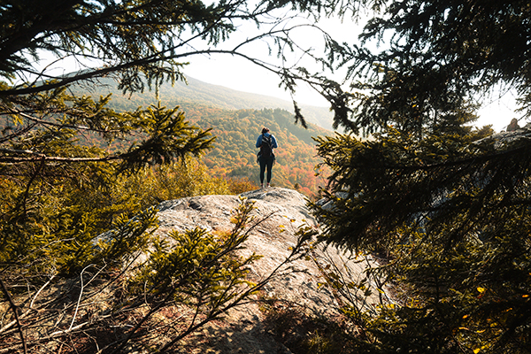 A person standing on a rock, framed by fall foliage in a serene wooded area.