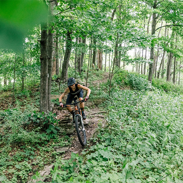 A person on a mountain bike riding through a forest on a trail.