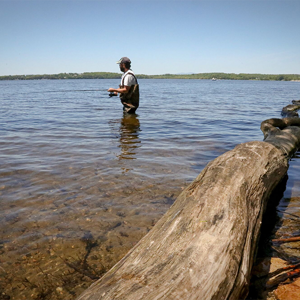 A person fishing in a lake stands waist-deep in calm water, holding a fishing rod. A large, weathered log lies diagonally across the foreground.