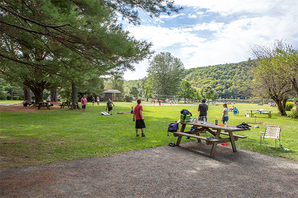 People enjoy a sunny day in a park with picnic tables and games. A volleyball net is set up in the distance. Trees and hills form a lush backdrop.