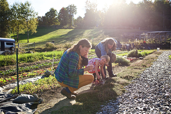 A group of people outside at a farm looking at growing crops in the sunshine. 
